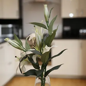  Apartment Dalry House